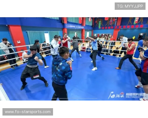 国际拳击联盟在裁判培训中强调现场判断与伤病识别实操，国际拳击组织